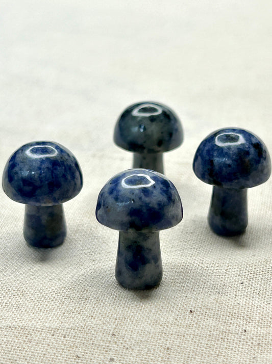 Sodalite Mini Mushroom