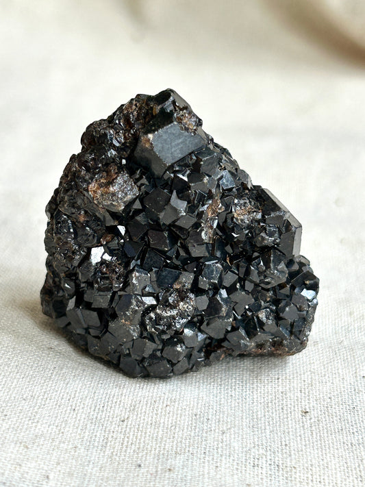 Black Garnet Cluster