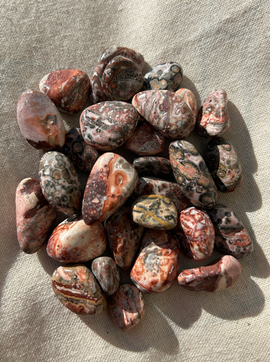 Leopard Jasper Small