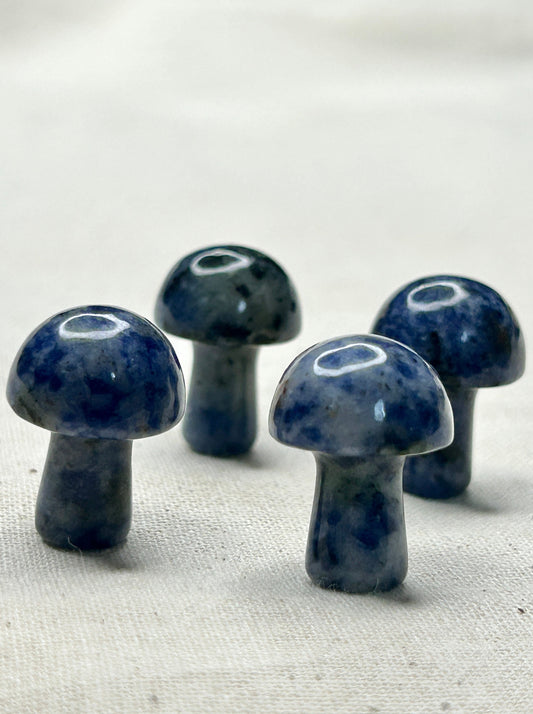 Sodalite Mini Mushroom