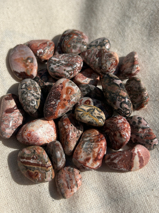 Leopard Jasper Small