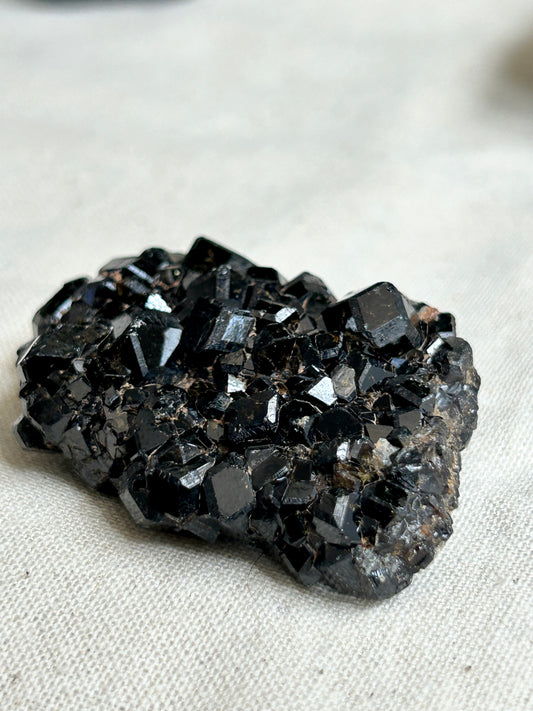 Black Garnet Cluster