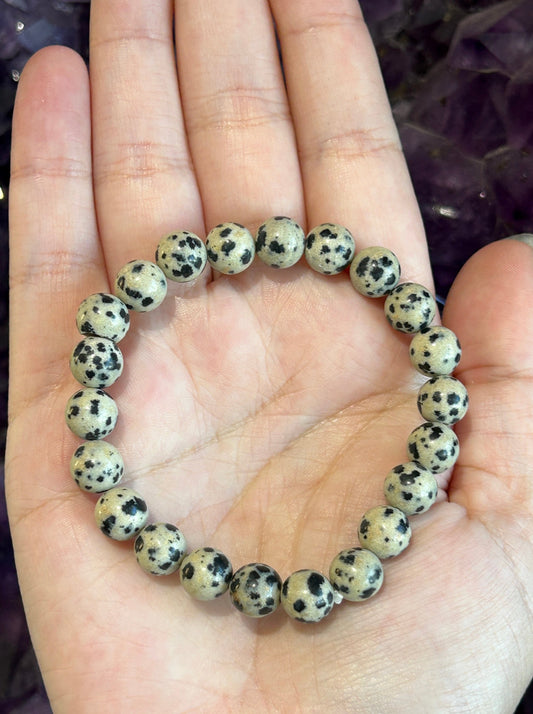 Dalmatian Jasper 8mm Bracelet