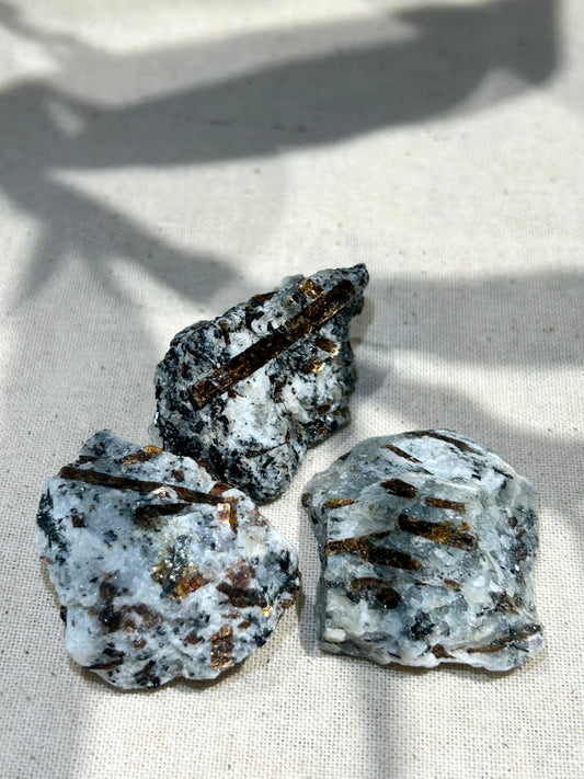 Astrophyllite Rough