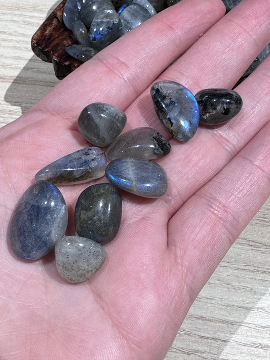 Labradorite Tumbles Small