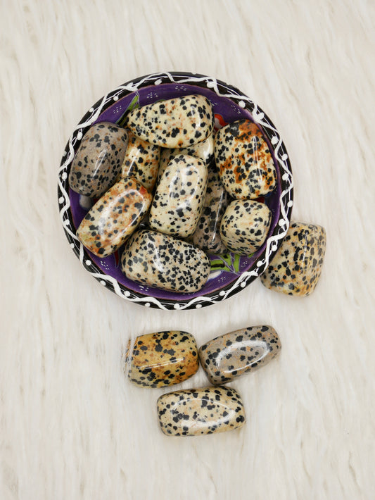 Dalmatian jasper tumbled stones