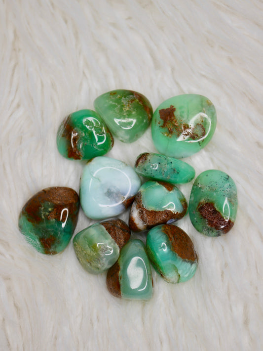 Chrysoprase tumbled stones (large)