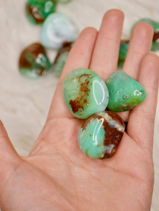 Chrysoprase tumbled stones (large)