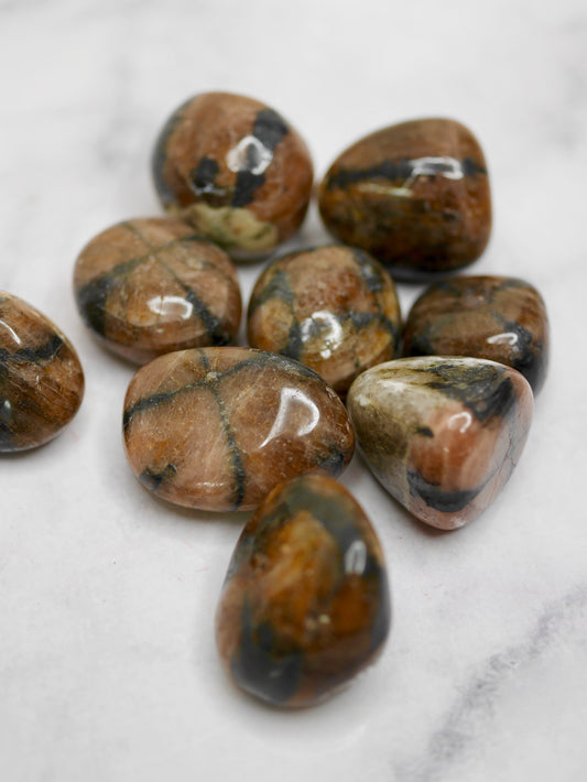 Chiastolite tumbled stones