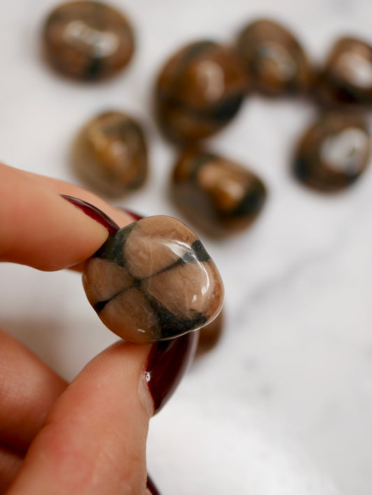 Chiastolite tumbled stones