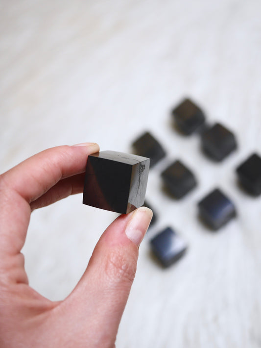 Shungite Grounding Cubes