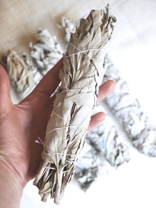 X Large White Sage Cleansing Wand