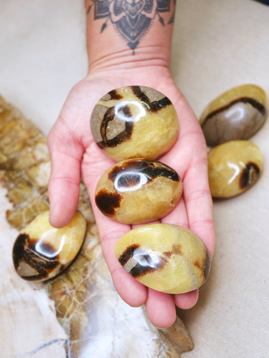 Septarian Palmstone