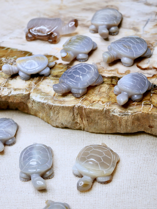 Chalcedony Turtle carving