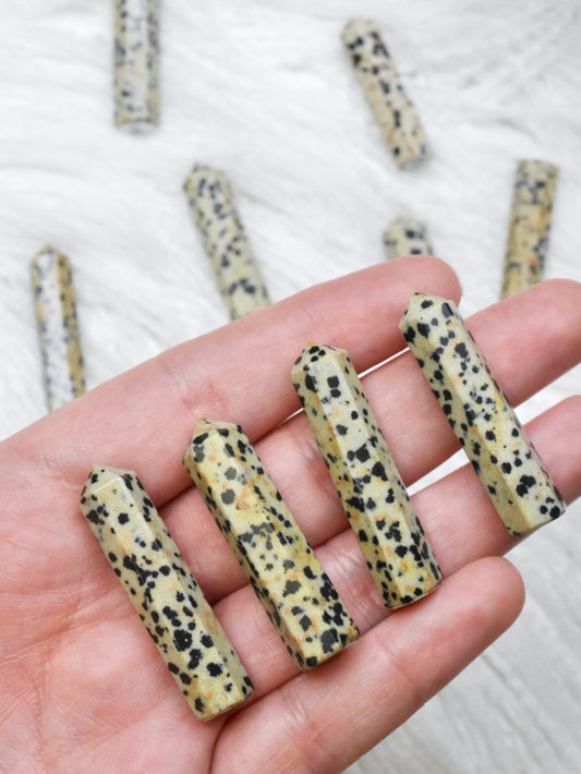 Dalmatian Jasper Mini Point