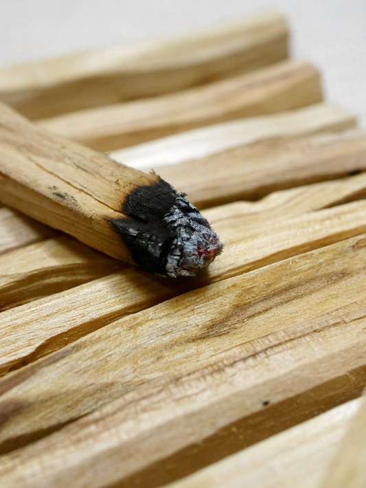 Palo Santo 10 pack