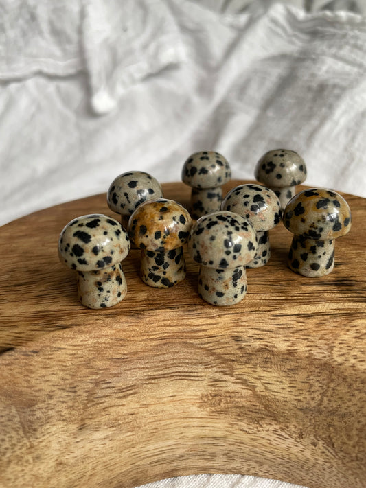 Dalmatian Jasper Mini Mushroom