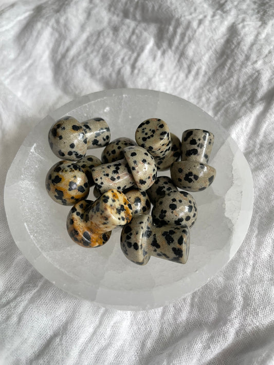 Dalmatian Jasper Mini Mushroom