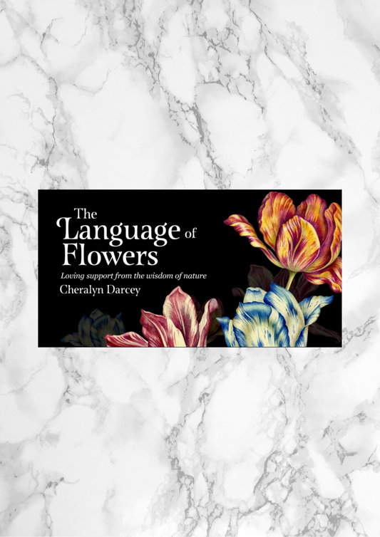 The Language of Flowers Affirmation Cards